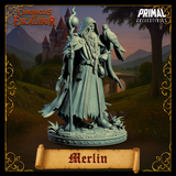 pc-251105 Wizard Merlin