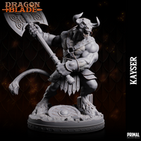 pc-240114 MINOTAUR KAYSER AXE