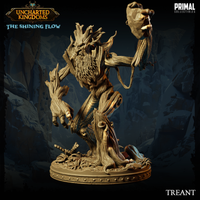 pc-240611 Treant01