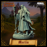 pc-251105 Wizard Merlin