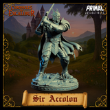 pc-251109 Evil Knight Sir Accolon