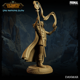 pc-240707 Wizard Danmar