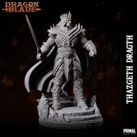 pc-231105 WIZARD FIGHTER THAZGETH DRAGTH 75mm