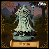 pc-251105 Wizard Merlin