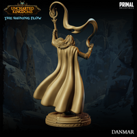 pc-240707 Wizard Danmar