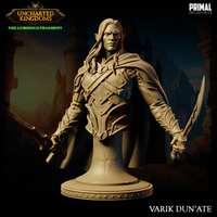 pc-240202 DROW VARIK BUST