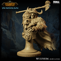 pc-240604 Barbarian Wulfheim Bust