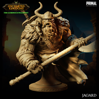 pc-240404 Barbarian king Jagard Bust