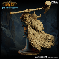 pc-240604 Barbarian Wulfheim Bust