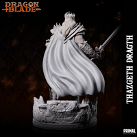 pc-231104 WIZARD FIGHTER THAZGETH DRAGTH