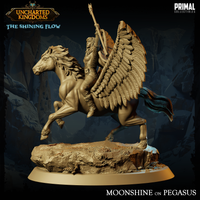 pc-240609 Cleric Moonshine pegasus