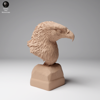 Anml-241201 Golden eagle bust