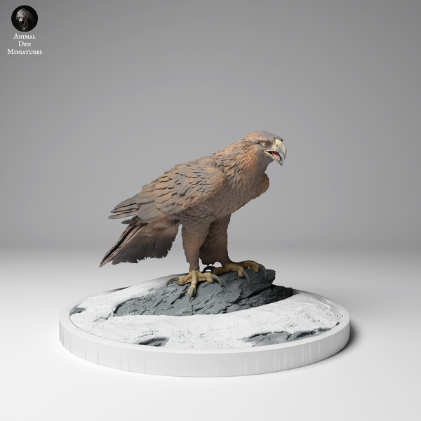 Anml-241202 Golden eagle stand