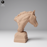 Anml-241211 Przewalskis horse bust (モウコノウマ)