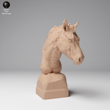 Anml-241211 Przewalskis horse bust (モウコノウマ)