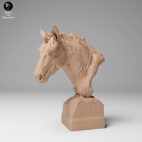 Anml-241211 Przewalskis horse bust (モウコノウマ)