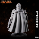 pc-231209 FIGHTER IRON SHINEBLADE BUST