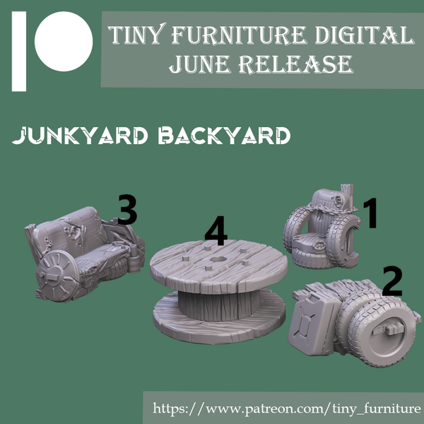 Tnyf-220601 Junkyard Backyard