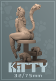 Dnm-250301 Kitty