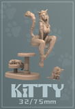 Dnm-250301 Kitty