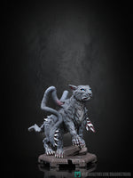 Drgn-240902 Faraam Beast Kitten