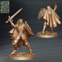 Laby-250512 Sir Lancelot