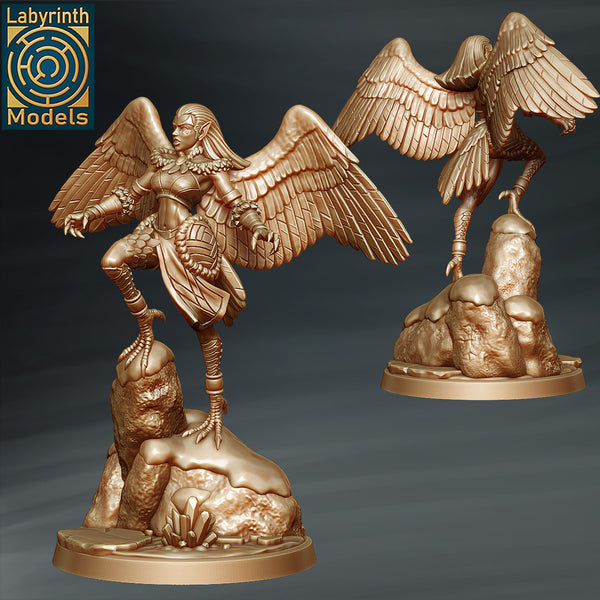 Laby-250621 Snow Harpy 1