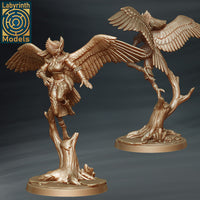 Laby-250622 Snow Harpy 2