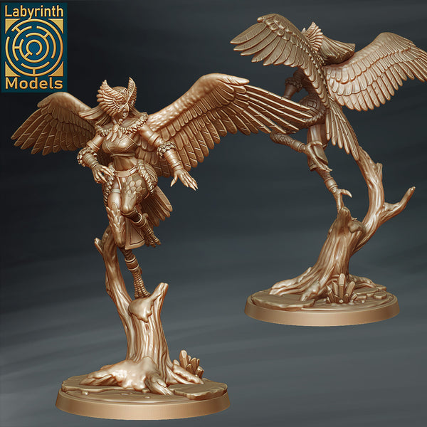 Laby-250622 Snow Harpy 2