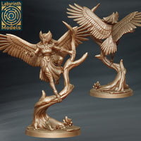 Laby-250623 Snow Harpy 3