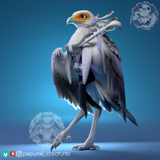 Ppnk-250803 Secretary Bird