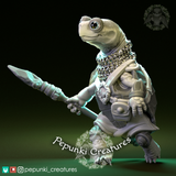 Ppnk-240601 Land Turtle with spear