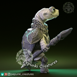 Ppnk-240601 Land Turtle with spear