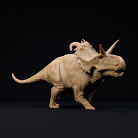 DinD-241004 Lokiceratops ロキケラトプス