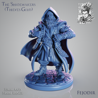 Raw-240204 ShadeWalker Fejodir 54mm