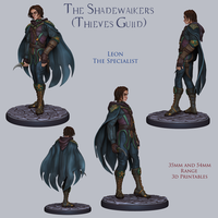 Raw-240206 ShadeWalker Leon 54mm