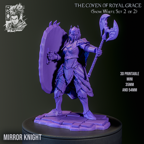 Raw-250104 Mirror Knight