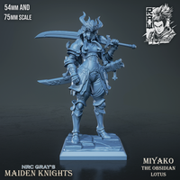 Raw-250903 Maiden Knight Miyako