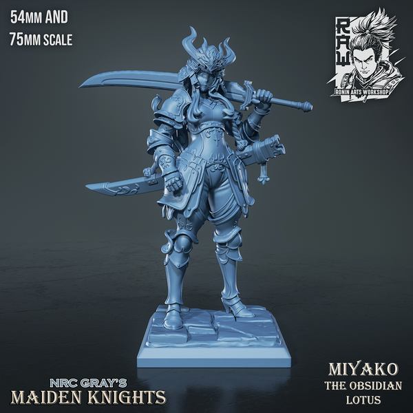 Raw-250903 Maiden Knight Miyako