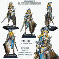 Raw-250904 Maiden Knight Sigrid