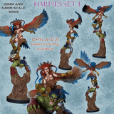 Raw-260201 Harpy Dhyla Pose2