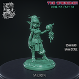 Raw-260303 Goblin Meirin