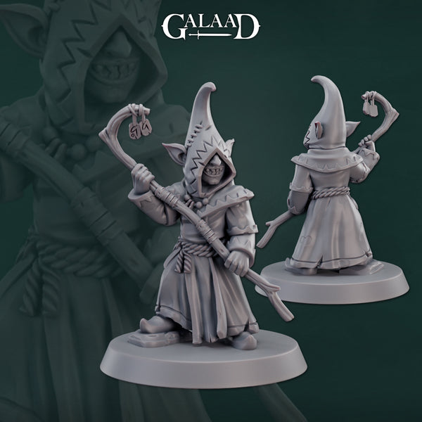 Gaa-241207 Male Goblin Wizard