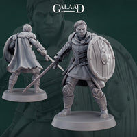 Gaa-241106 Male Knight 01