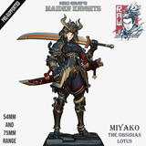 Raw-250903 Maiden Knight Miyako