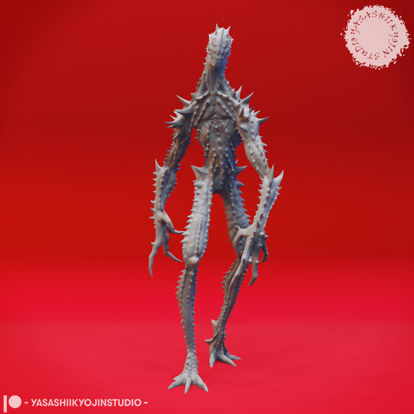 YKS-nblit01 Needle Blight01