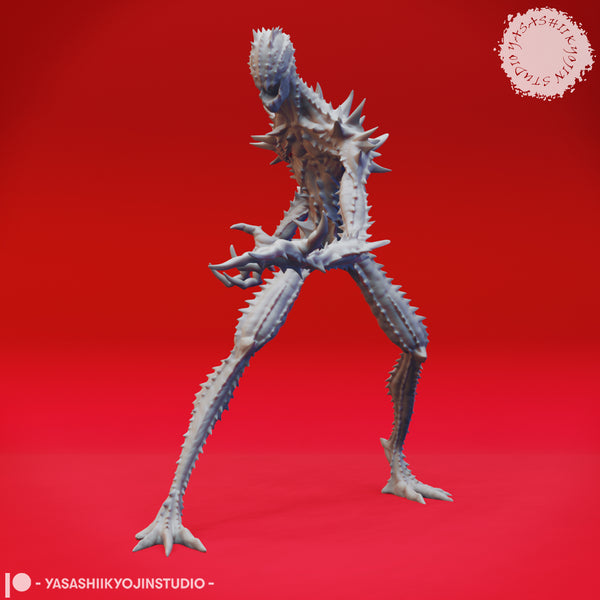 YKS-nblit04 Needle Blight04