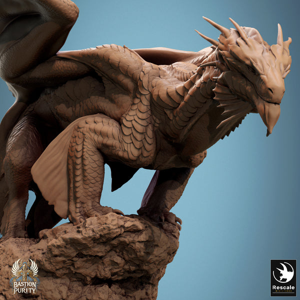 Lop-240934 New Bronze Dragon Stance