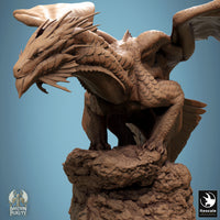 Lop-240934 New Bronze Dragon Stance