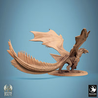 Lop-240935 New Bronze Dragon Walk